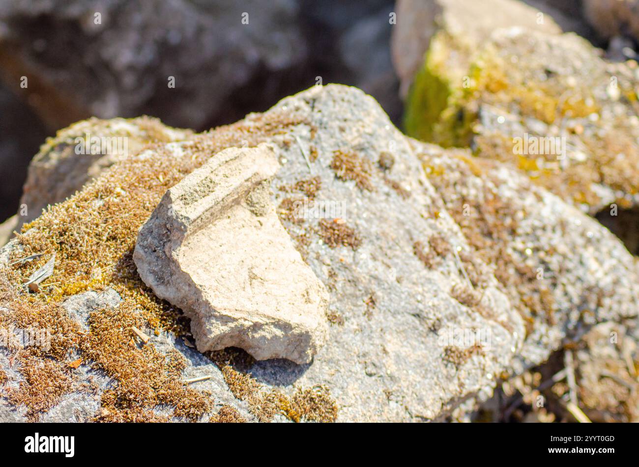 piece of ceramic, part of a tile. Found in an archaeological excavation ...