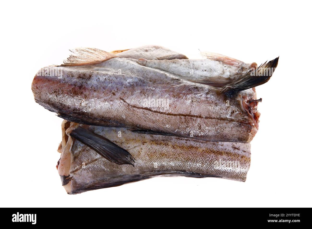 Cod isolated on a white background, fresh Stock Photo - Alamy