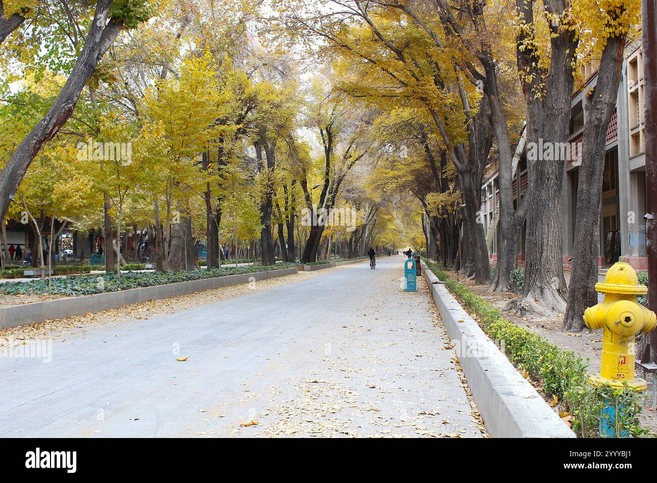 Chaharbagh street hi-res stock photography and images - Alamy