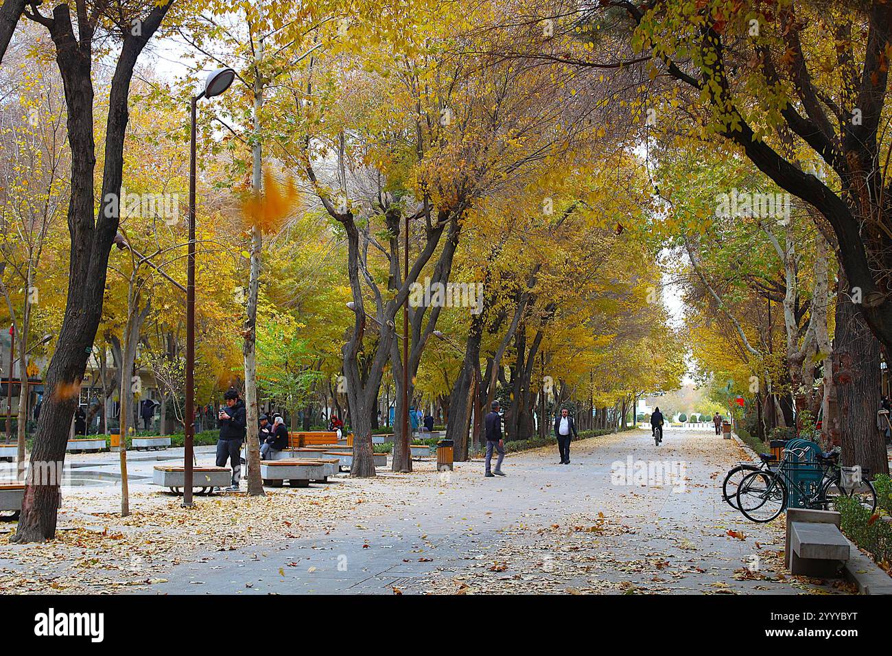 Chaharbagh street hi-res stock photography and images - Alamy