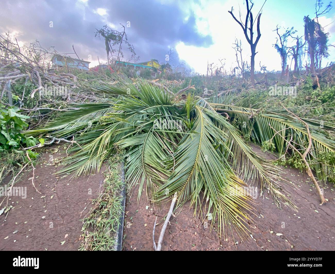 Cyclone Chido impact in Mayotte island indian ocean december 2024 Stock Photo