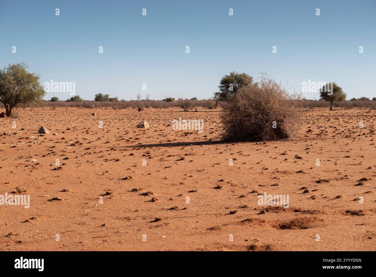 flat red sands landscape of Kalahari desert by hot day Stock Photo