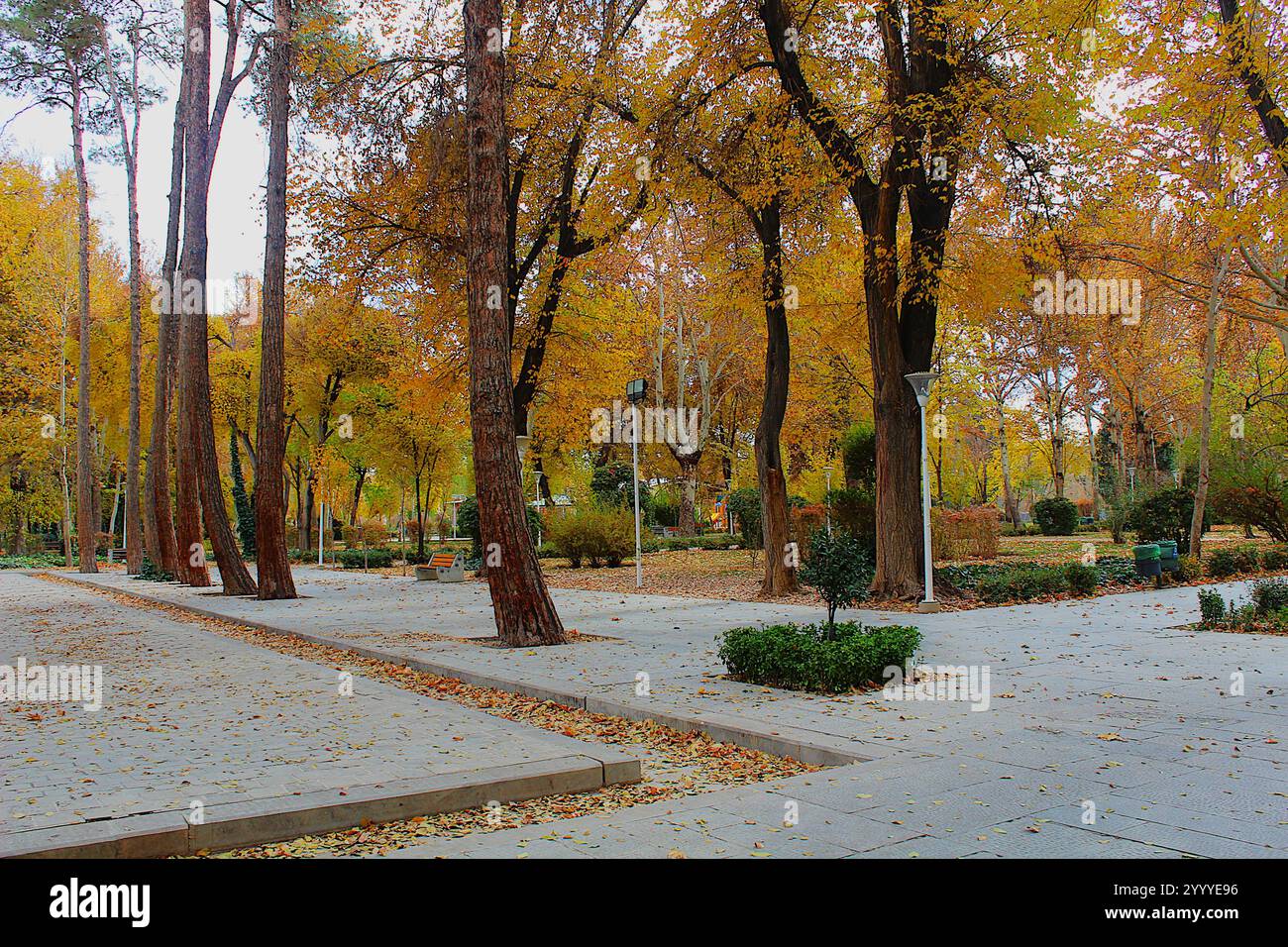 Chaharbagh street hi-res stock photography and images - Alamy