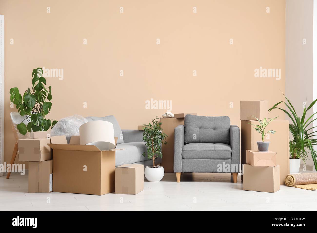interior-of-new-living-room-with-grey-armchair-houseplants-and