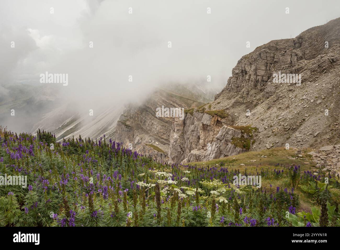 view of the Seceda area in the Italian Dolomites Stock Photo - Alamy
