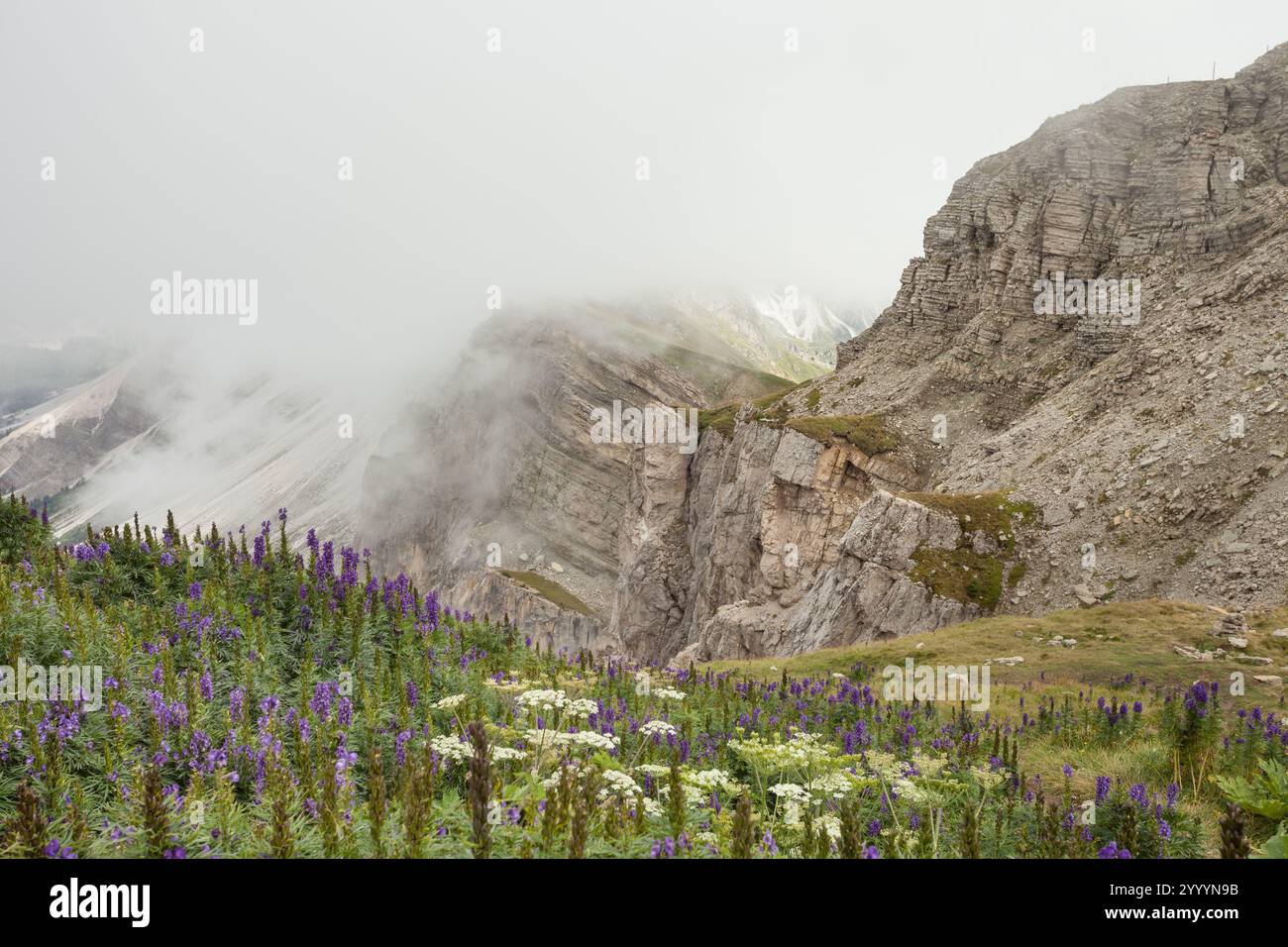 view of the Seceda area in the Italian Dolomites Stock Photo - Alamy
