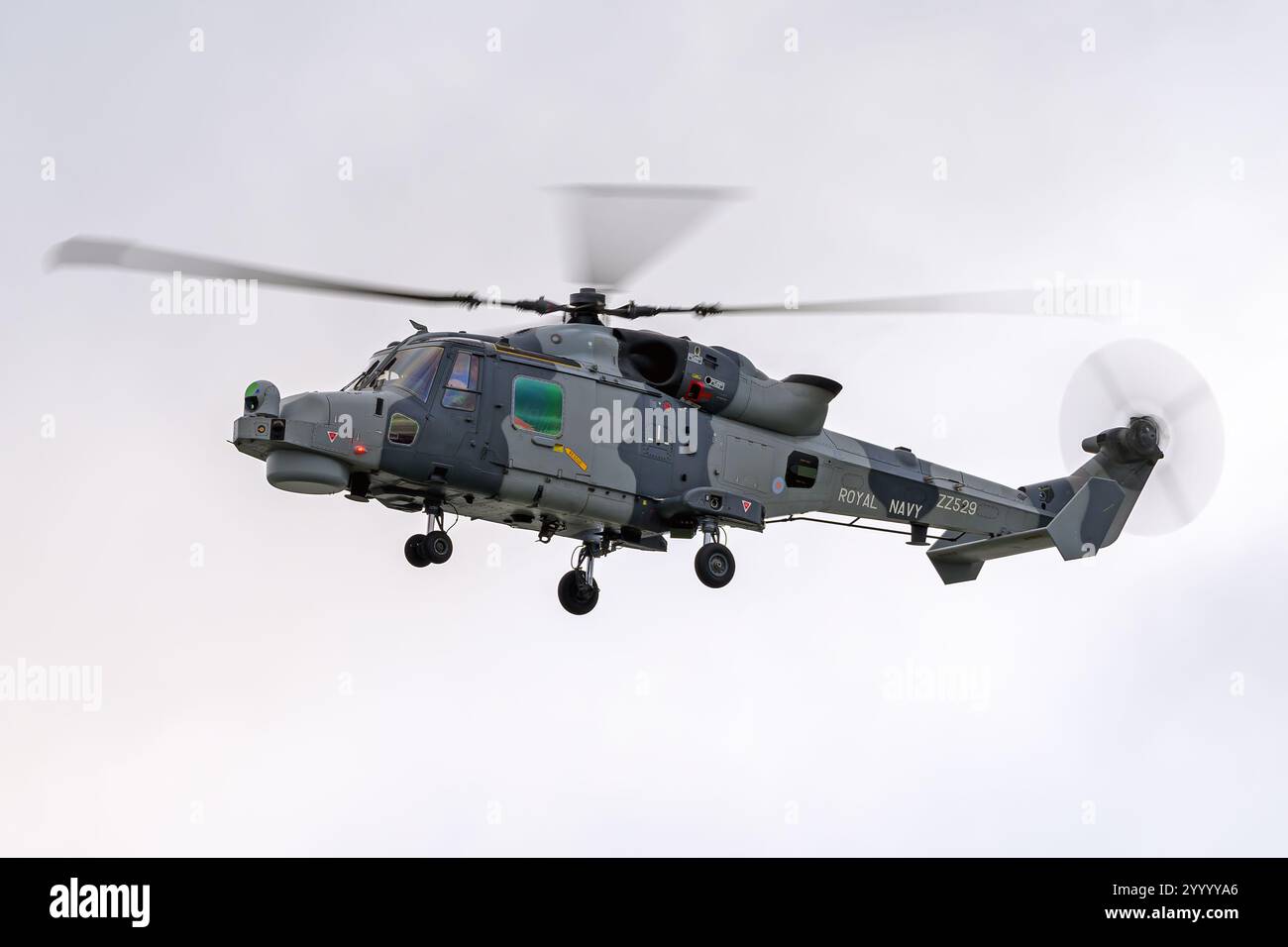 A Royal Navy (RN) AW-159 Wildcat HMA2 helicopter in flight. Stock Photo