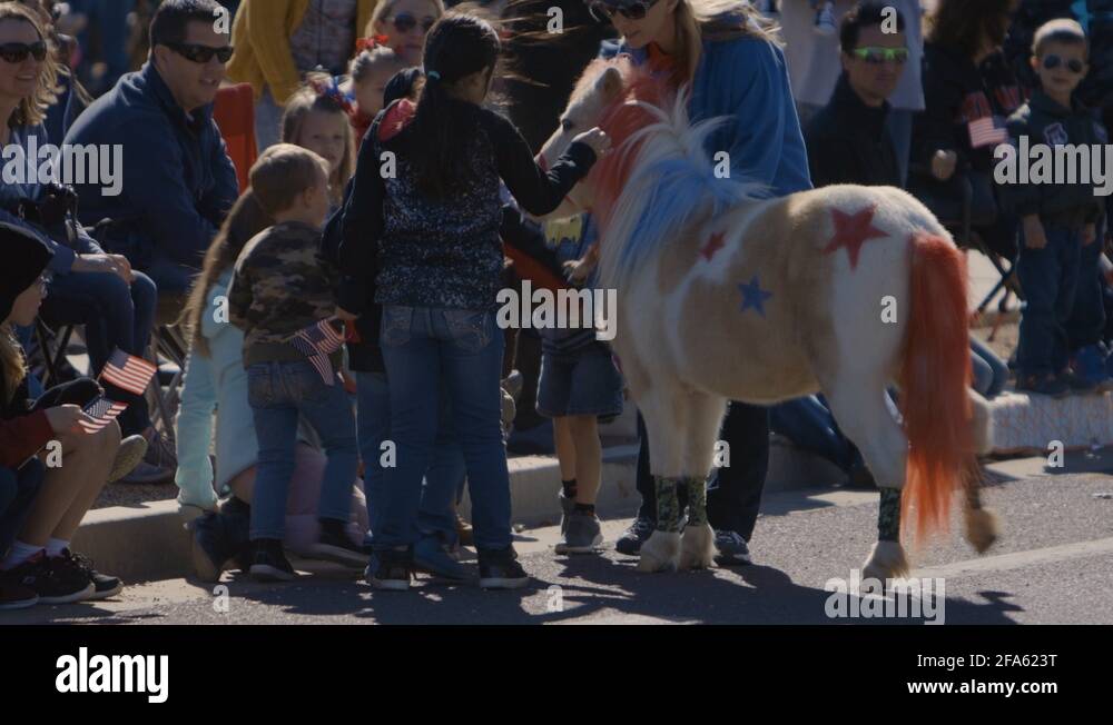 Tiny horse Stock Videos & Footage HD and 4K Video Clips Alamy