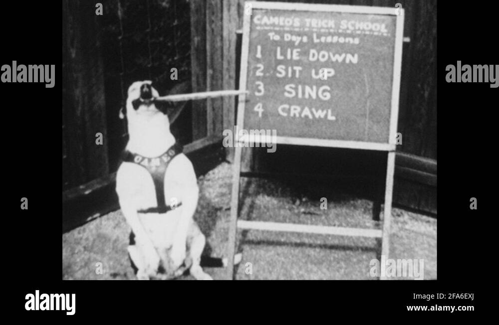 School dunce Stock Videos & Footage HD and 4K Video Clips Alamy