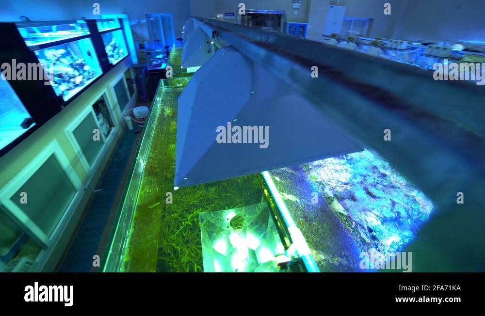 Water circulation Stock Videos & Footage HD and 4K Video Clips Alamy