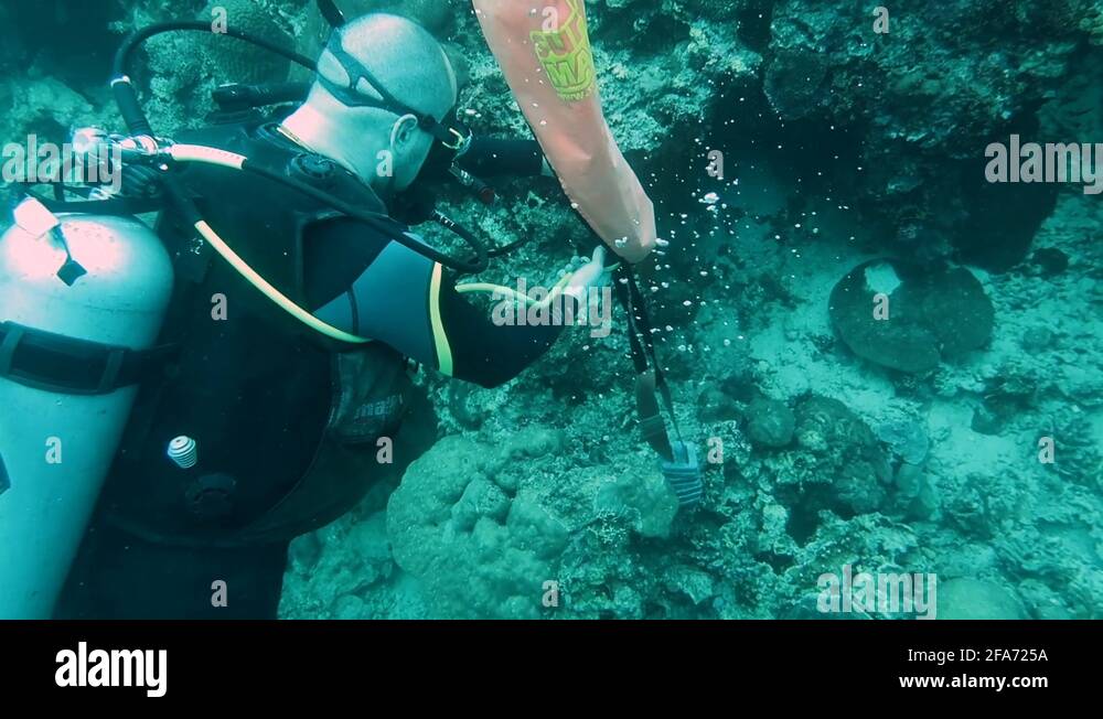 Snorkel lift Stock Videos & Footage HD and 4K Video Clips Alamy