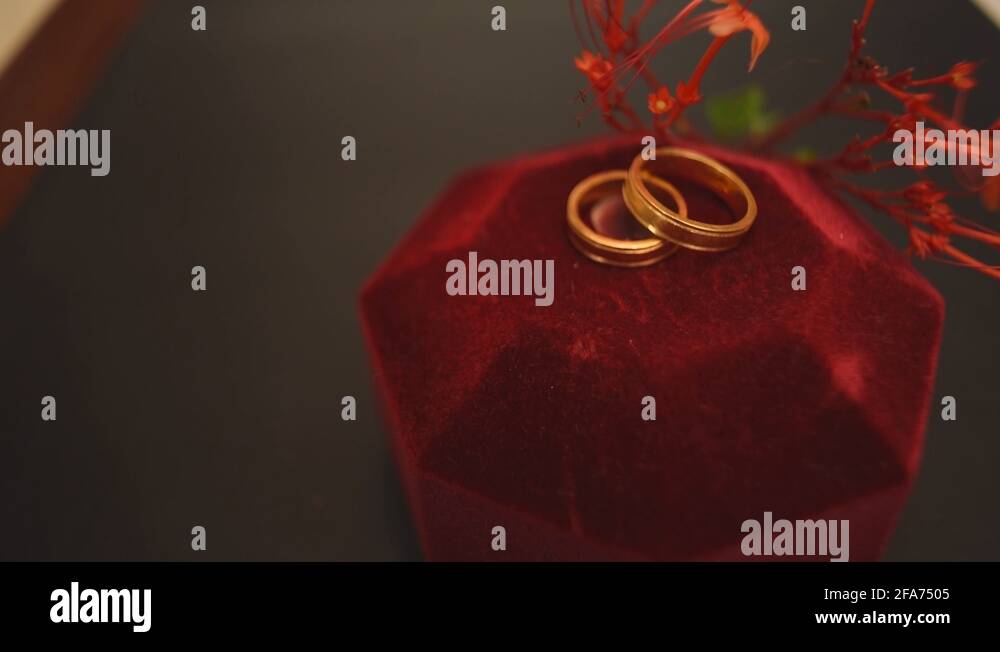 Slow tilting up footage of a wedding ring pair as love symbol with