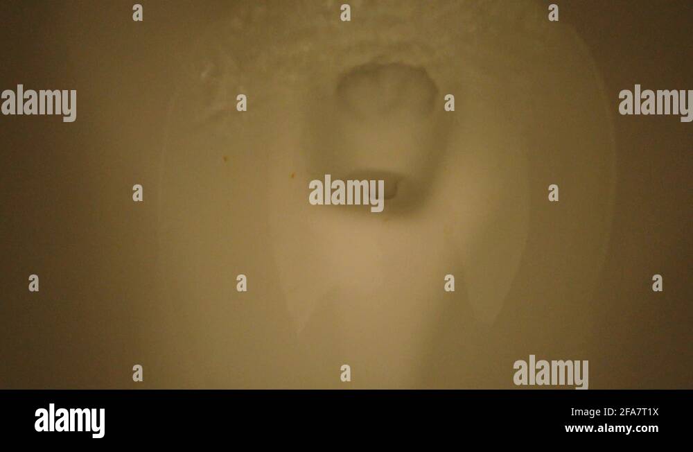 Rising up from the water in a flushing toilet in a public restroom