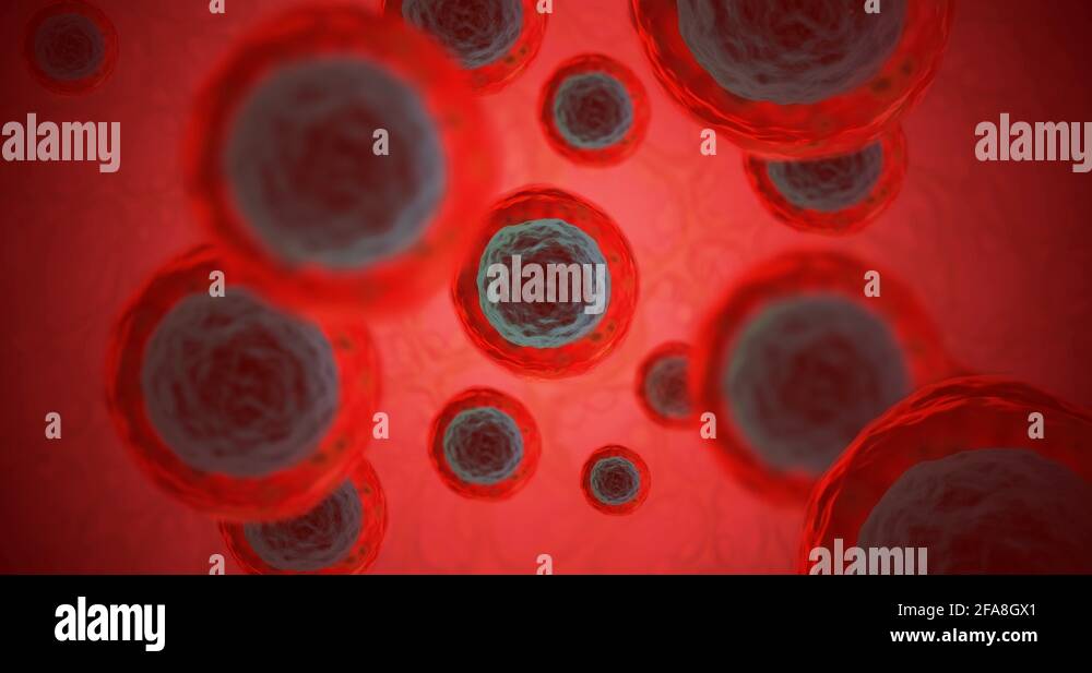 red-blood-cell-level-stock-videos-footage-hd-and-4k-video-clips-alamy