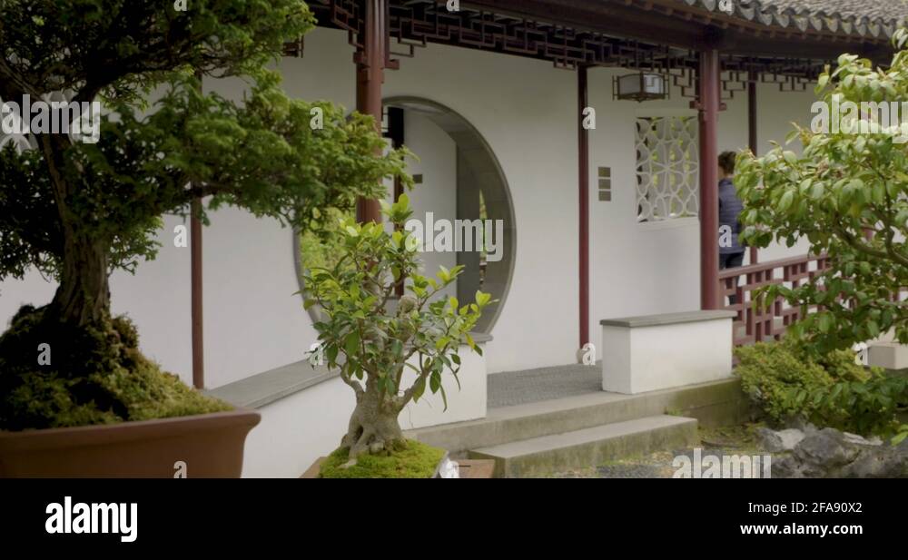 Dr tree Stock Videos & Footage HD and 4K Video Clips Alamy