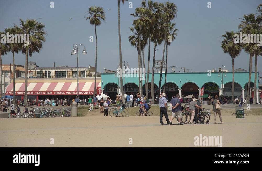 Venice beach ocean front walk palm trees Stock Videos & Footage HD