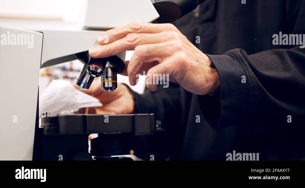 Microscope lens cleaning Stock Videos & Footage HD and 4K Video Clips Alamy