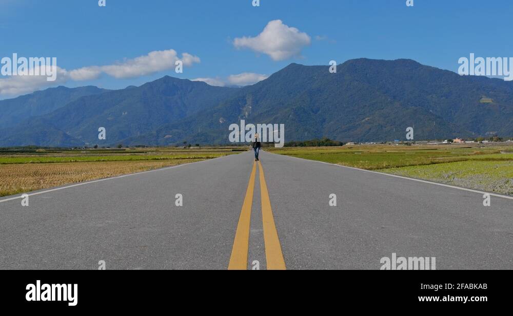 Road rice field Stock Videos & Footage - HD and 4K Video Clips - Alamy
