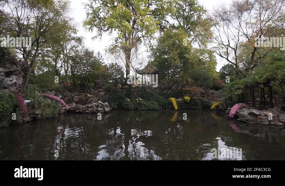 Botany gardens china Stock Videos & Footage HD and 4K Video Clips Alamy