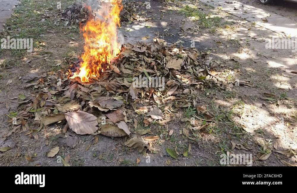 Flames from burning waste, dry leaves cause smoke, dust, air pollution