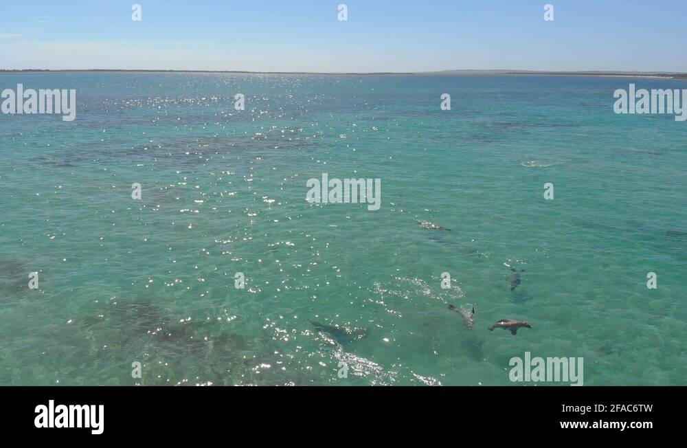 Guy in black swimsuit and girl in white bathing suit swimming with