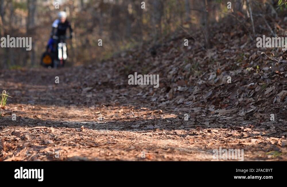 Bike Trail Stock Videos Footage HD And 4K Video Clips Alamy bike-trail-stock-videos-footage-hd-and-4k-video-clips-alamy