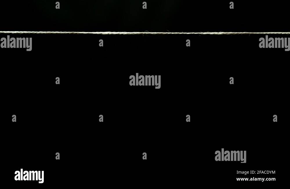 Spring summer autumn winter Stock Videos & Footage - HD and 4K Video ...