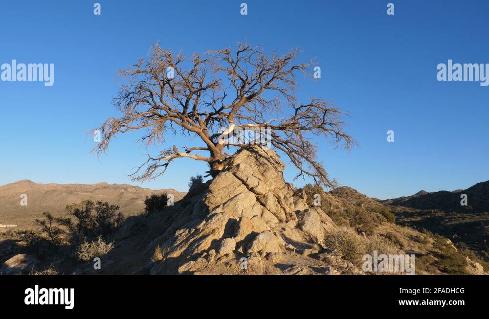 Dead peak Stock Videos & Footage - HD and 4K Video Clips - Alamy