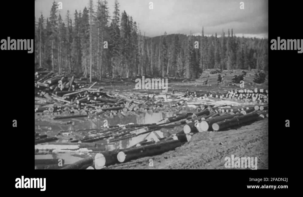 Lumber industry history Stock Videos & Footage HD and 4K Video Clips