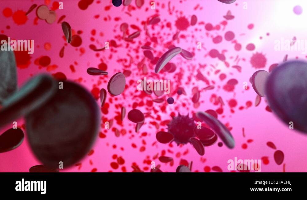 Microscopic view of blood cells Stock Videos & Footage - HD and 4K ...