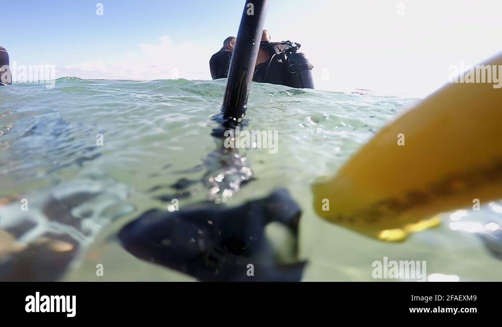 Scuba dive diver divers Stock Videos & Footage HD and 4K Video Clips