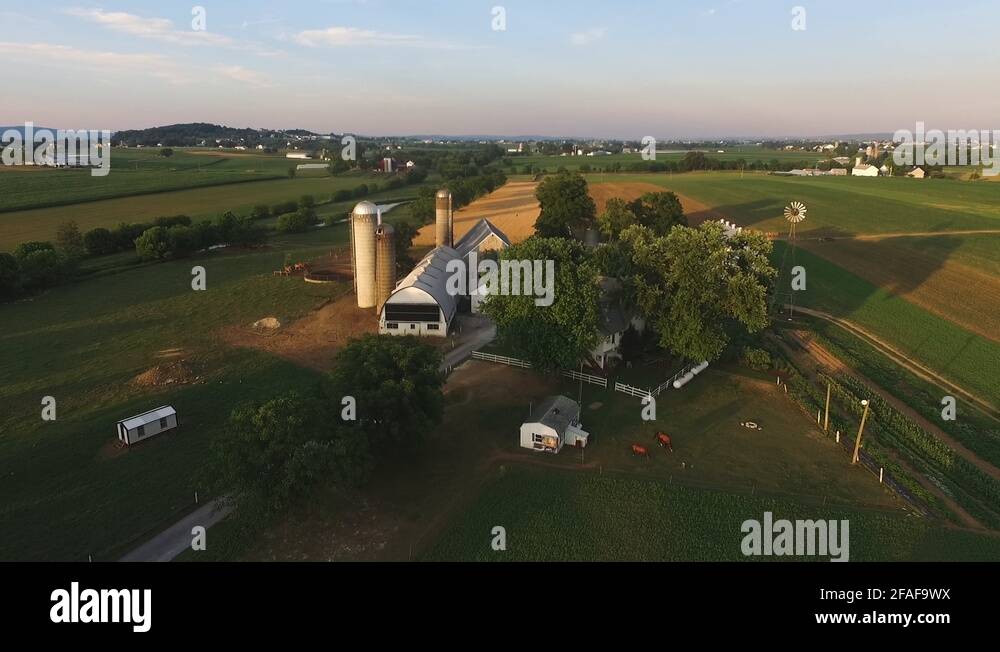 Chicken farm lancaster pennsylvania Stock Videos & Footage HD and 4K