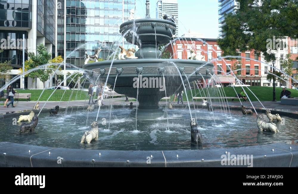 Dog park fountain Stock Videos & Footage HD and 4K Video Clips Alamy