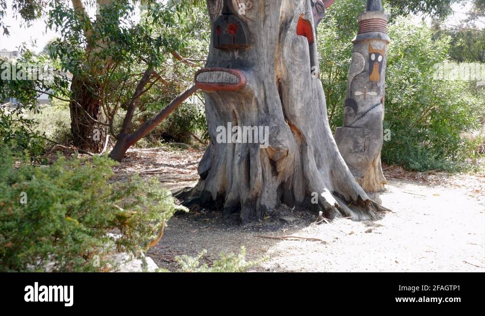 Australian wood carving Stock Videos & Footage HD and 4K Video Clips