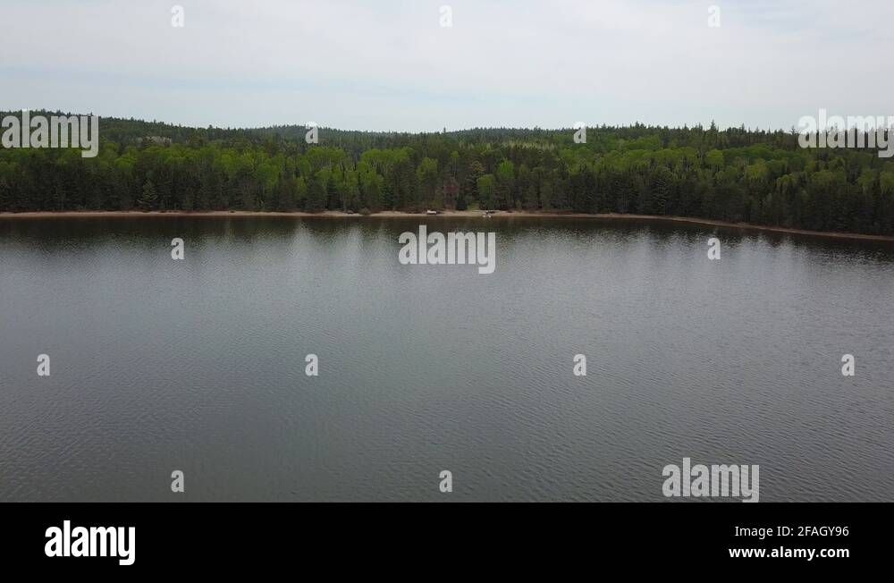 White otter castle Stock Videos & Footage - HD and 4K Video Clips - Alamy