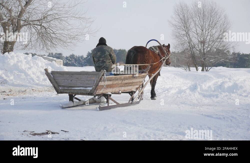 Horse pulling sleigh Stock Videos & Footage HD and 4K Video Clips Alamy