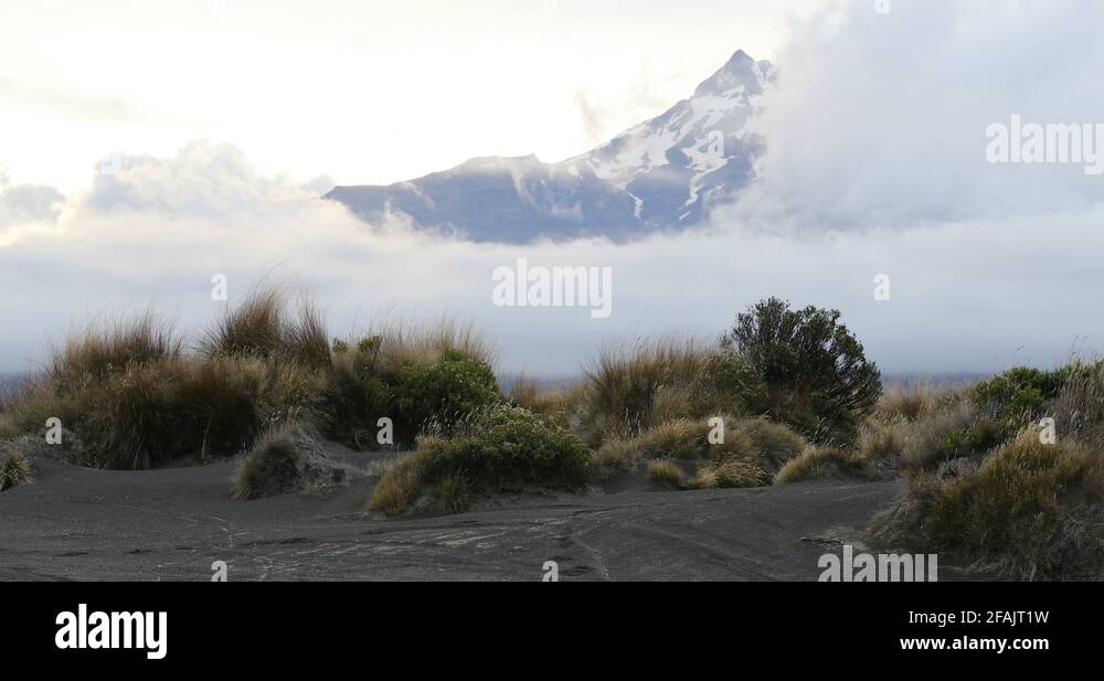 Outdoor sports new zealand Stock Videos & Footage HD and 4K Video Clips Alamy