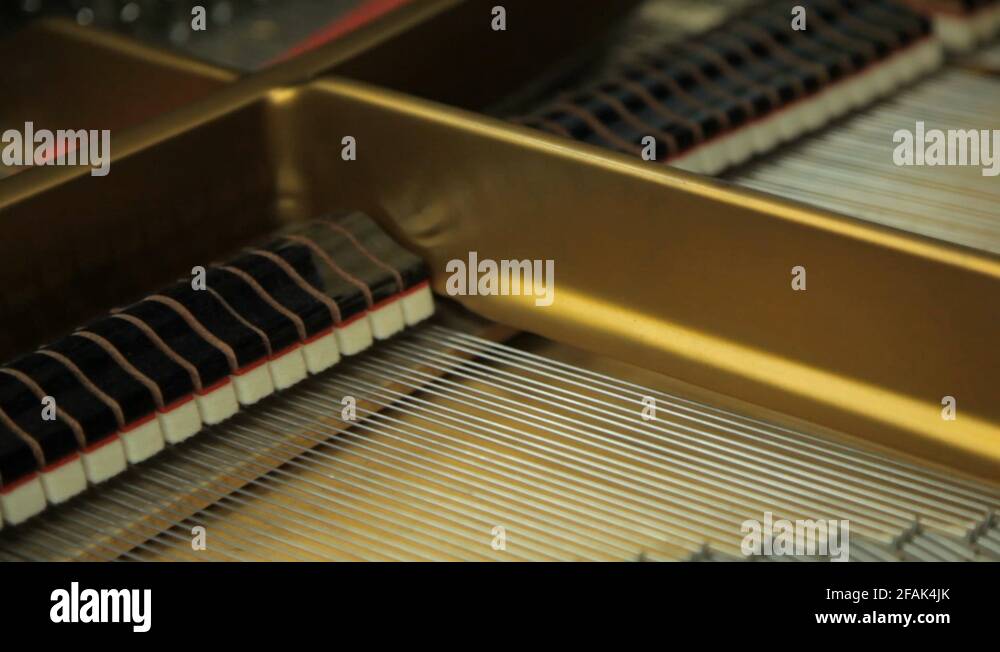 Inside a grand piano showing frame, dampers, strings and hammers Stock