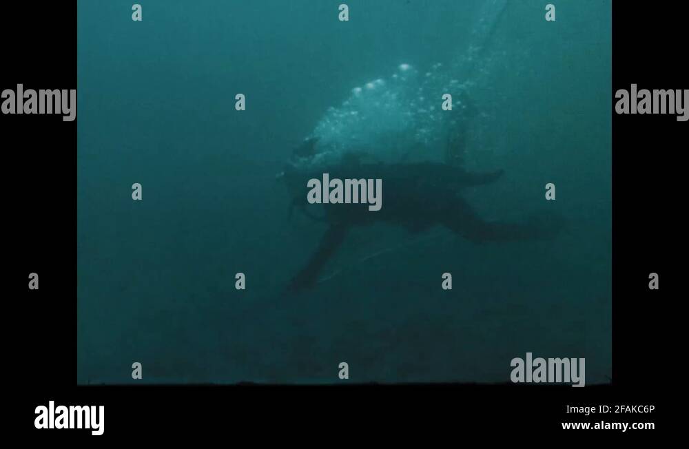 Underwater rope Stock Videos & Footage - HD and 4K Video Clips - Alamy