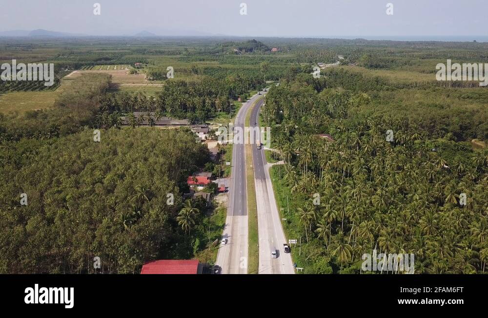 Palm tree transport Stock Videos & Footage HD and 4K Video Clips Alamy