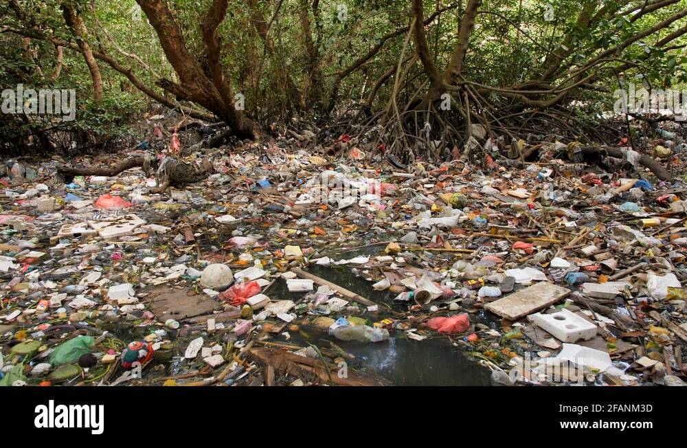 Plastic Waste Rubbish Floating in Forest River Water. Huge Dump in ...