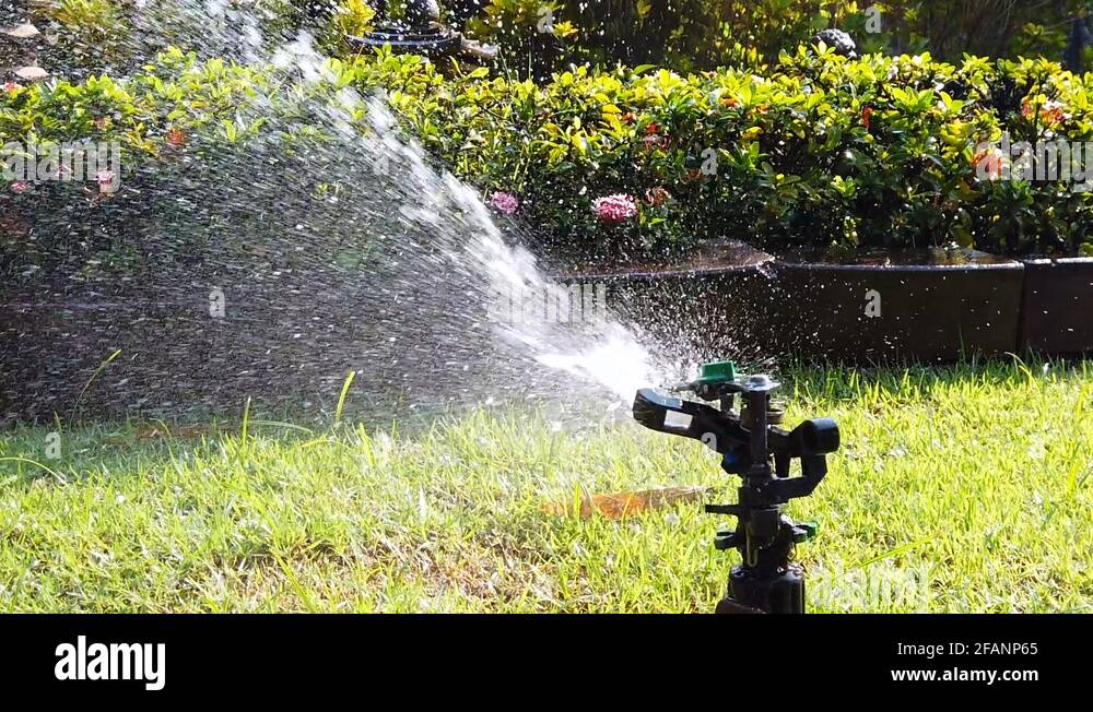 Springer water Stock Videos & Footage HD and 4K Video Clips Alamy