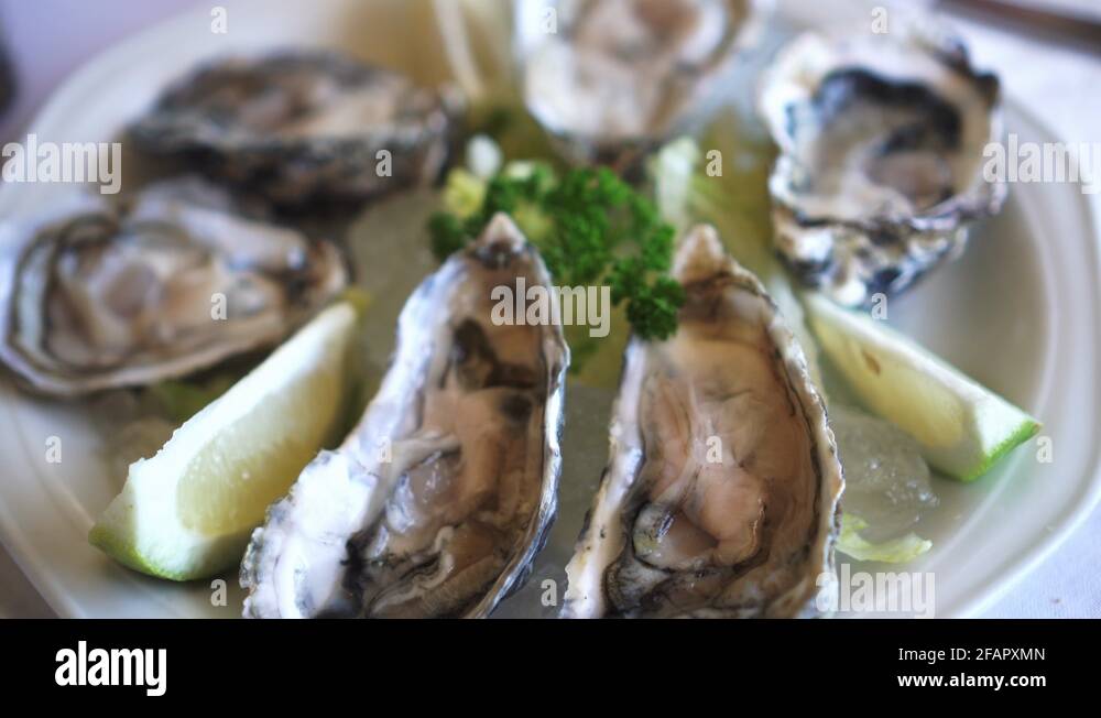 South africa fish plate Stock Videos & Footage HD and 4K Video Clips