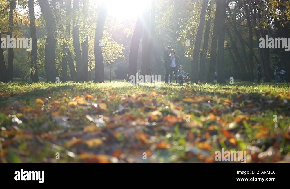 Child friendly walks Stock Videos & Footage HD and 4K Video Clips Alamy