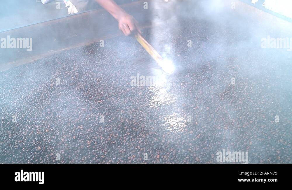 Uganda coffee production Stock Videos & Footage HD and 4K Video Clips