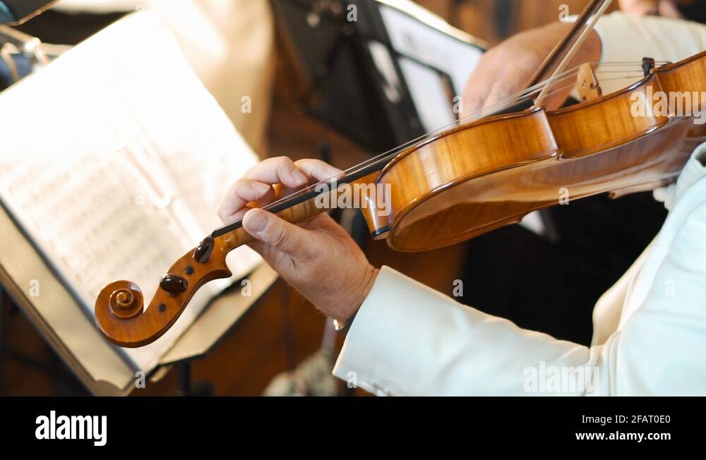 Guarneri violin Stock Videos & Footage HD and 4K Video Clips Alamy