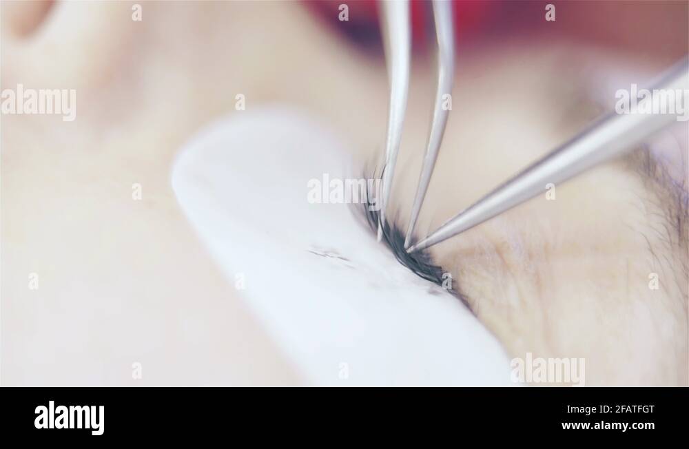 Depth of field extension Stock Videos & Footage HD and 4K Video Clips