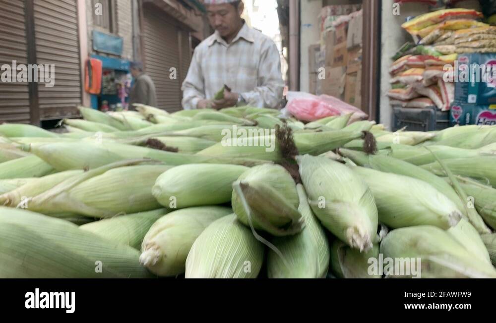 Vegetable vendor kathmandu nepal Stock Videos & Footage HD and 4K