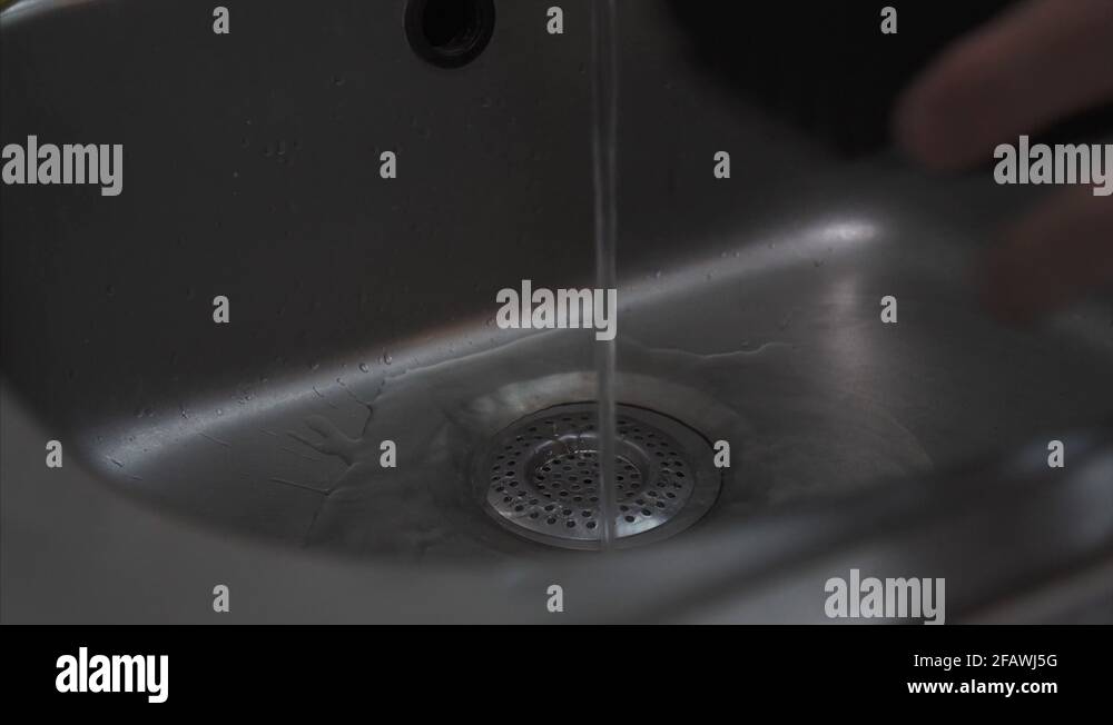 Shiitake mushrooms Stock Videos & Footage HD and 4K Video Clips Alamy