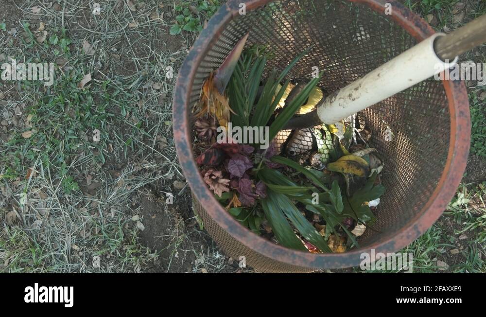 Food molding Stock Videos & Footage HD and 4K Video Clips Alamy